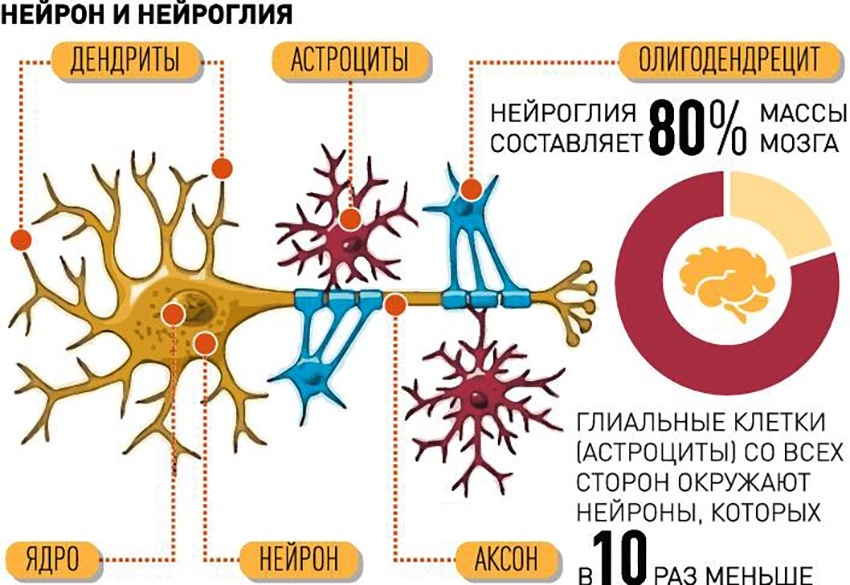 V открытый студенческий фестиваль интеллектуальных игр «Вышкафест»