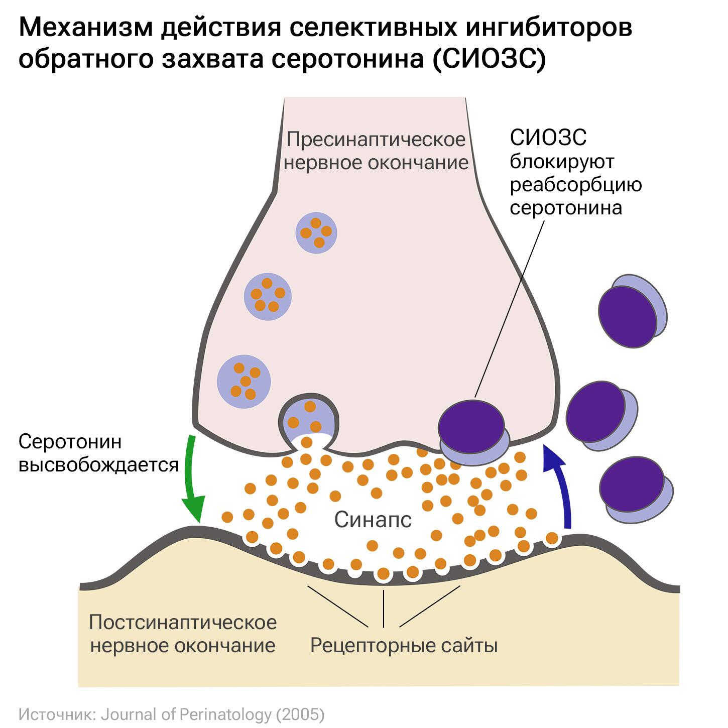 Polpred.com Обзор СМИ. Россия и зарубежье. Федеральные округа РФ. Внешняя  экономика, право.